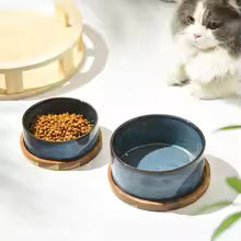 Elevated Ceramic Cat Bowl - Raised Feeder for Spine Health & Comfort